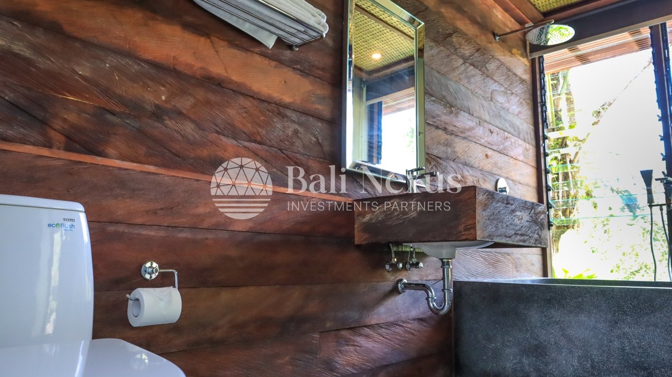 Villa 2BR in Ubud photo 8
