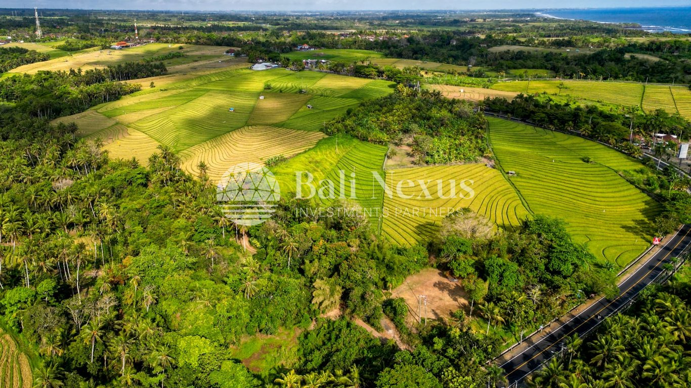 Land in Tabanan photo 3
