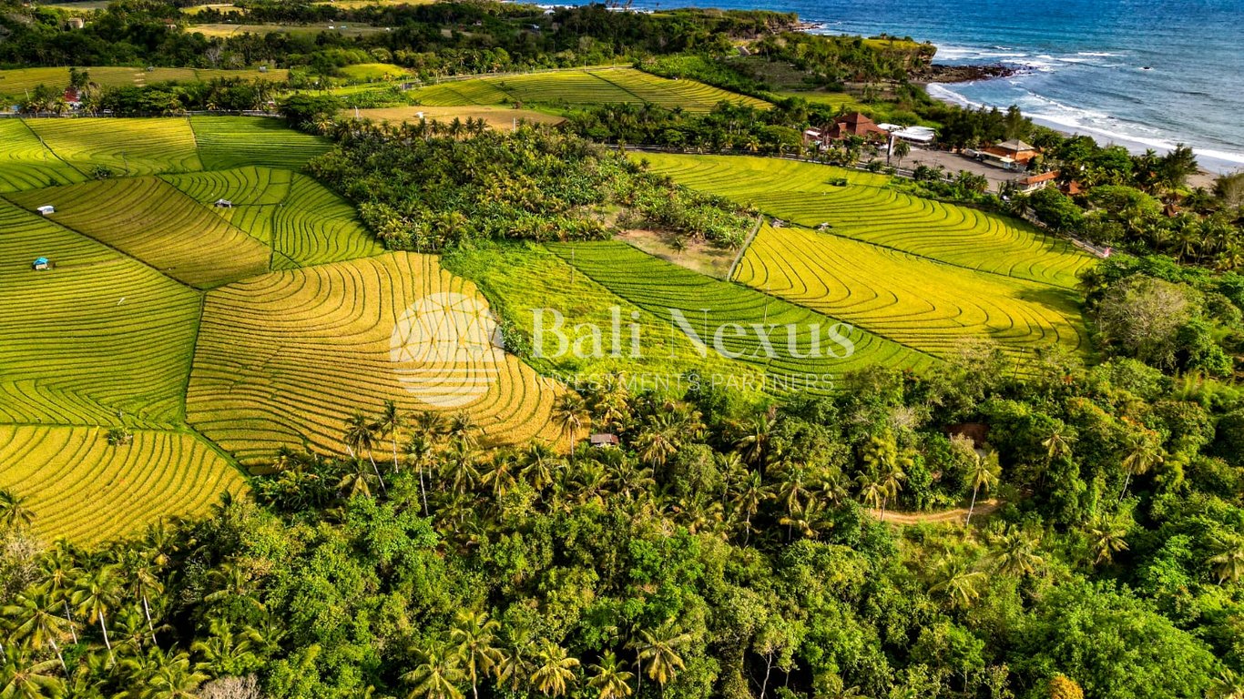 Land in Tabanan photo 2