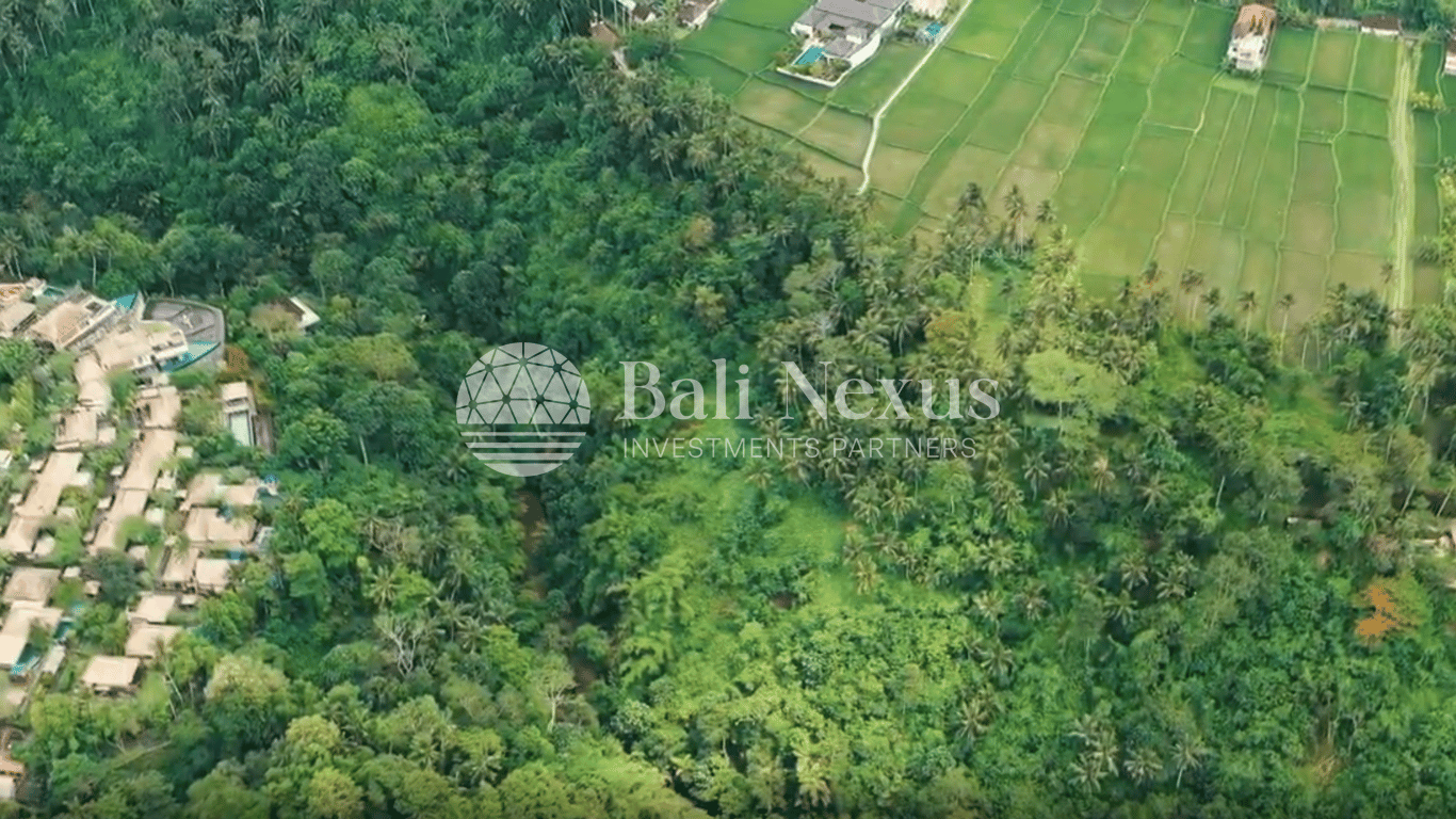Land in Pejeng Kawan photo 1