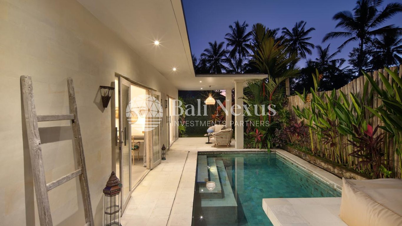 Villa 1BR in Ubud photo 4