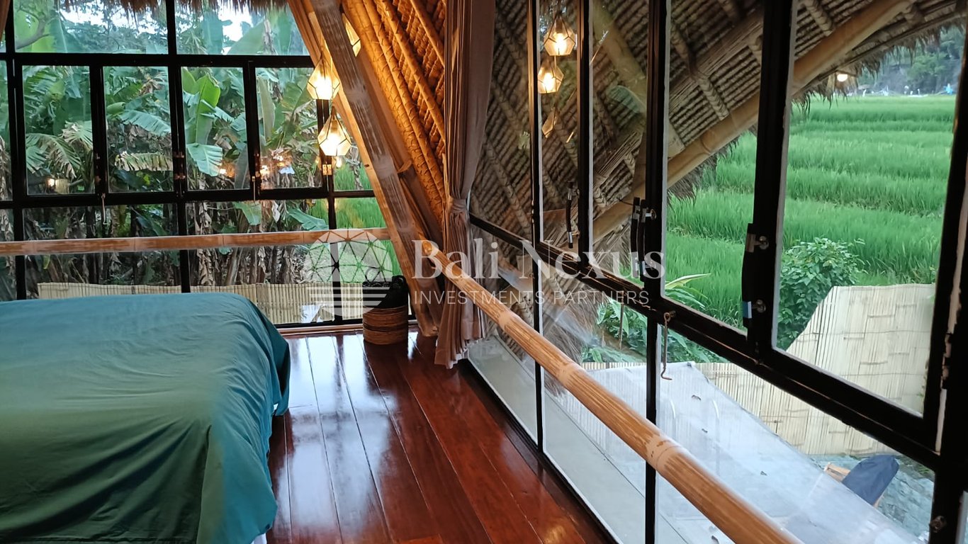 Complex 3-Villa in North Canggu photo 15