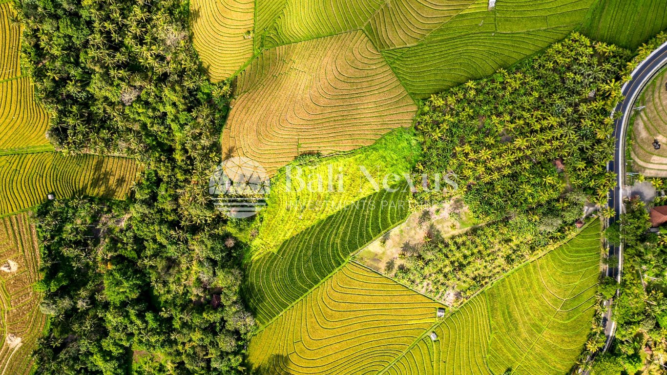 Land in Tabanan photo 4