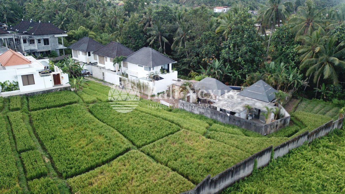 Land in Petulu, Ubud photo 1