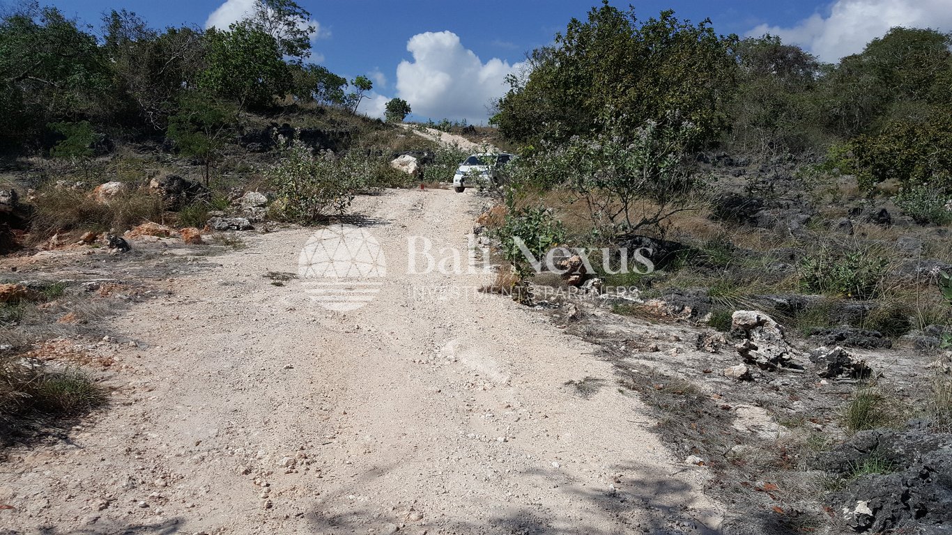 Land in Mamboro, Sumba photo 3