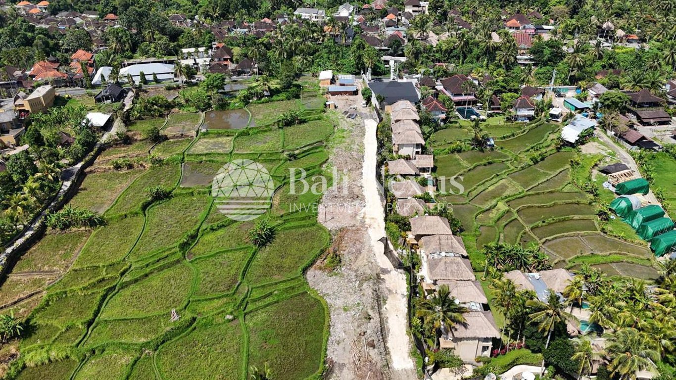 Land in Ubud photo 1