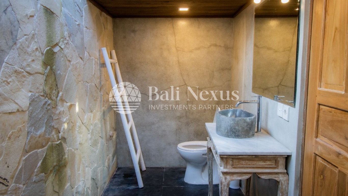 Villa 1BR in Seseh photo 7