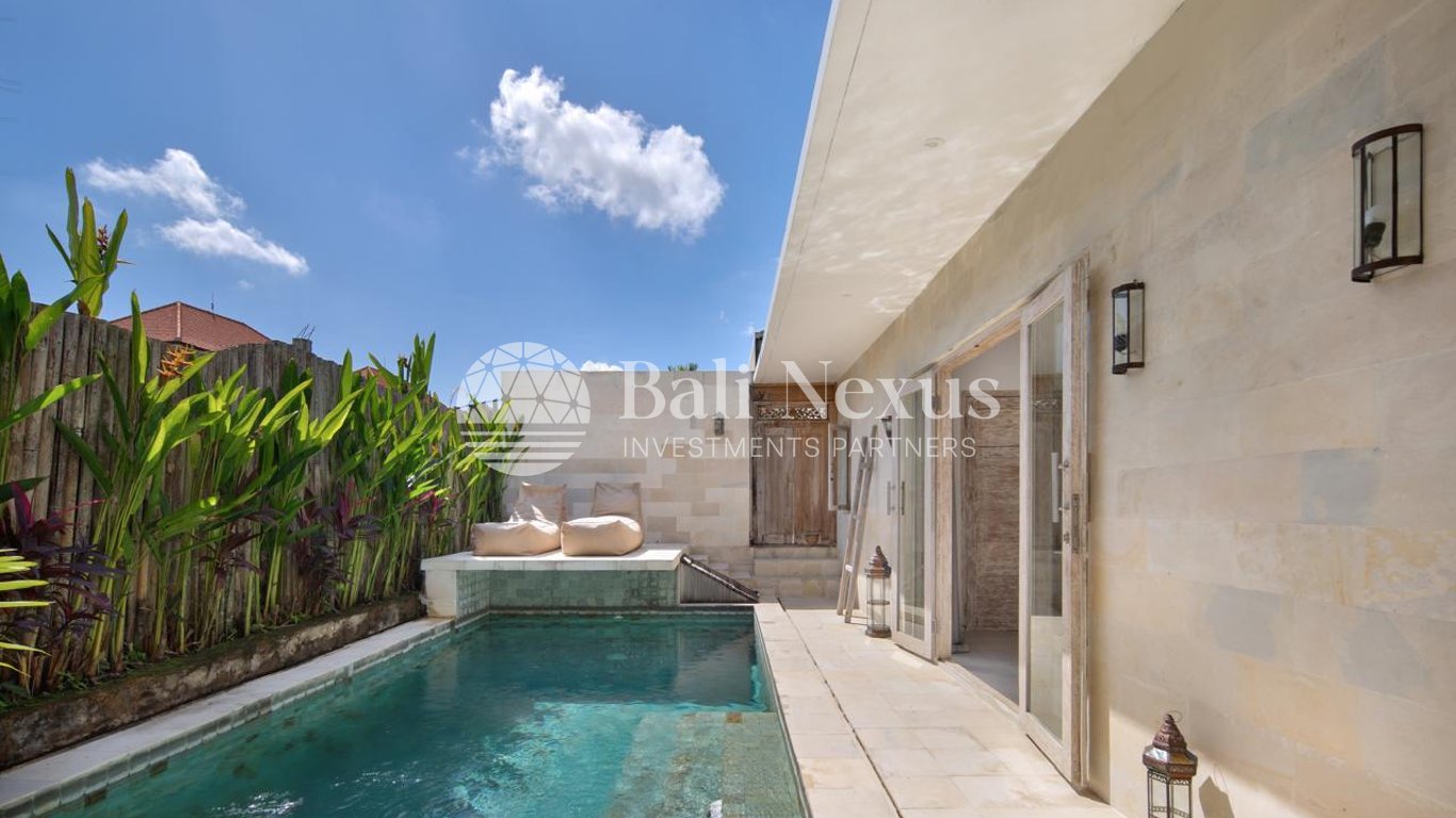 Villa 1BR in Ubud photo 3