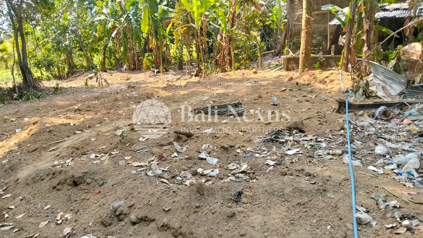 Land in Tegalalang photo 3