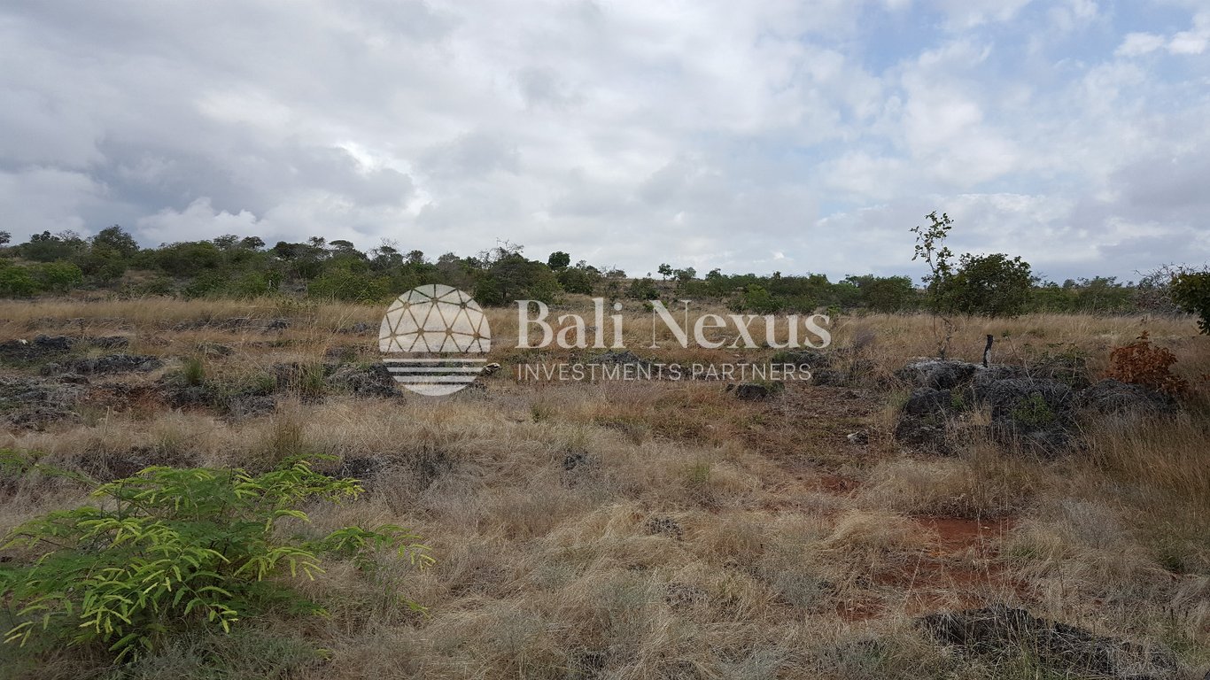Land in Mamboro, Sumba photo 1
