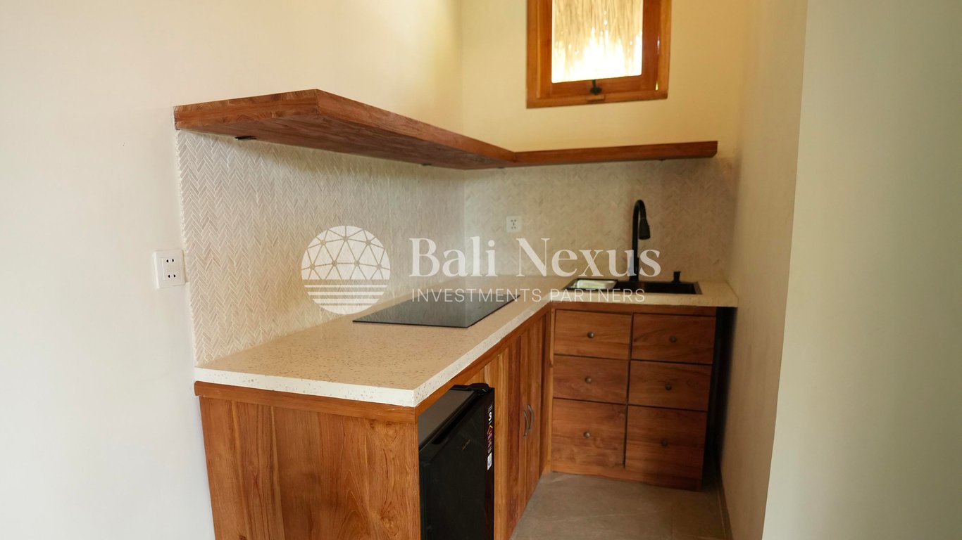 Villa 1BR in Kodi photo 7