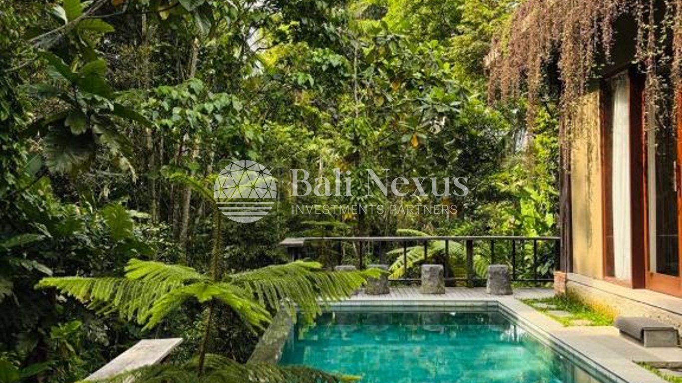 Villa 2BR in Payangan photo 6