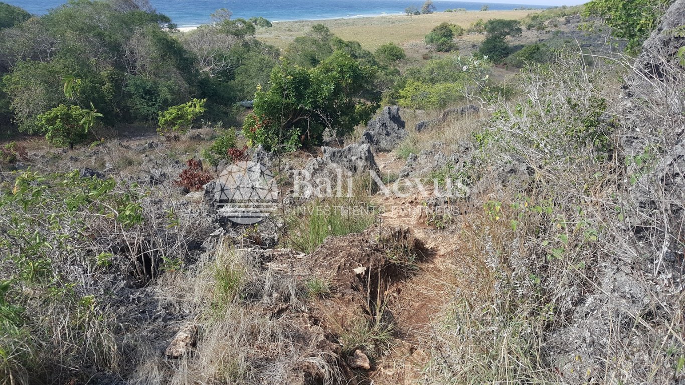 Land in Mamboro, Sumba photo 2