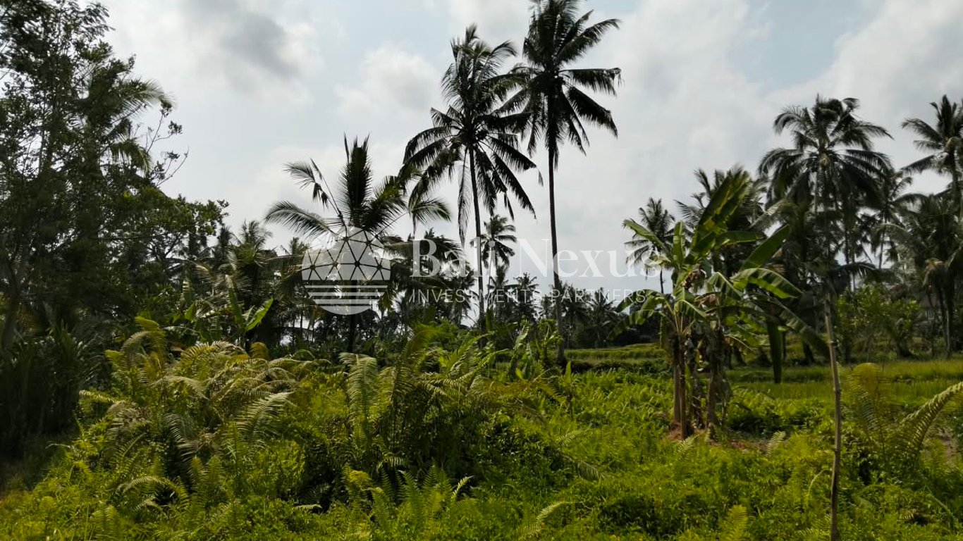 Land in Tegalalang photo 2
