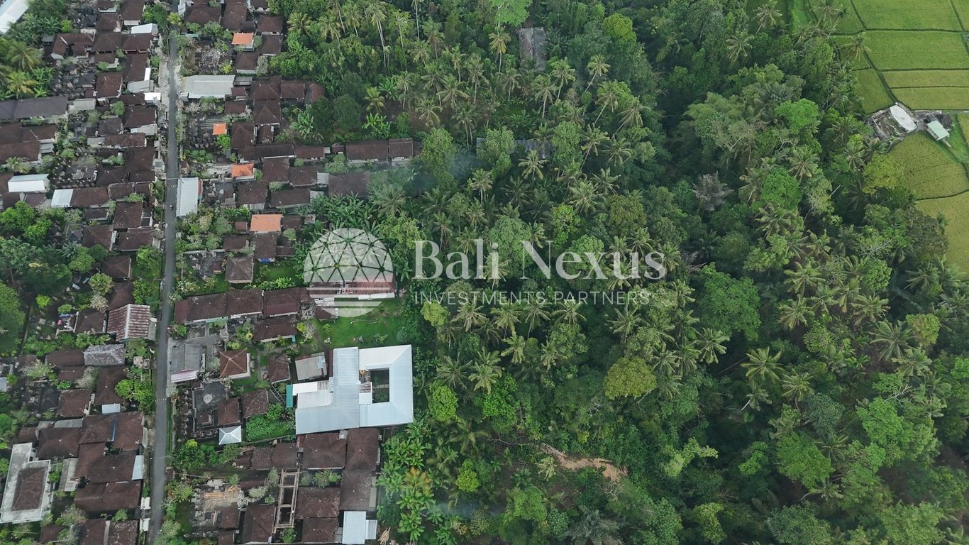 Land in Tegallalang photo 1