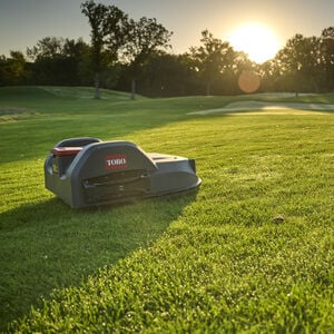 Toro Professional Turf Cut