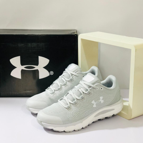 Under Armour Charged Intake 4 soft grey - Turbocart - Free Same Day  Delivery Shopping