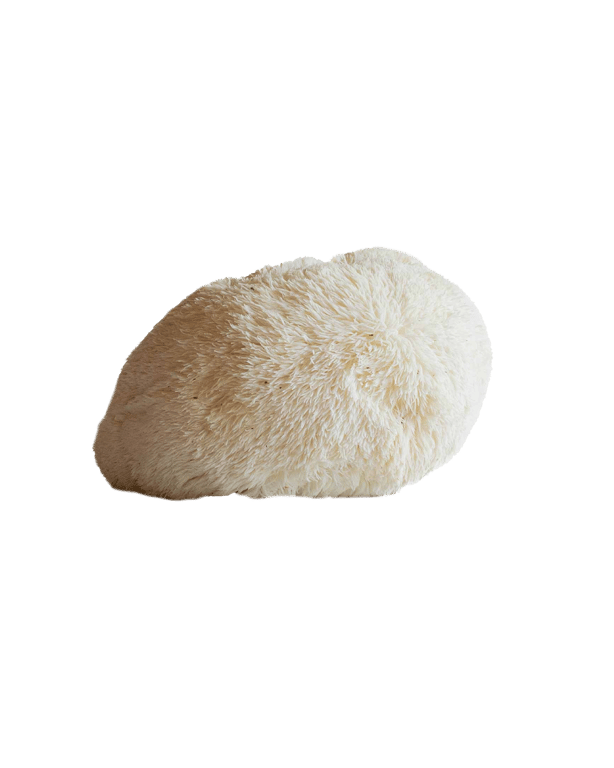 Lion's Mane