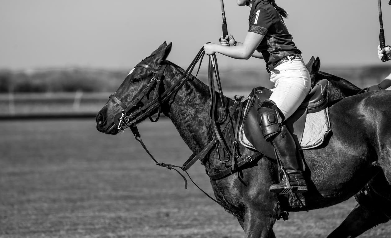 Sergi Ortega - DSC07741