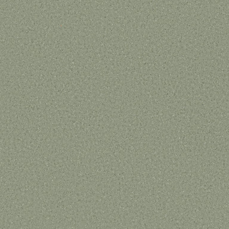 Vinyl FloorSheet ArmstrongFlooring AccoladePlus BegaValley 5A504161
