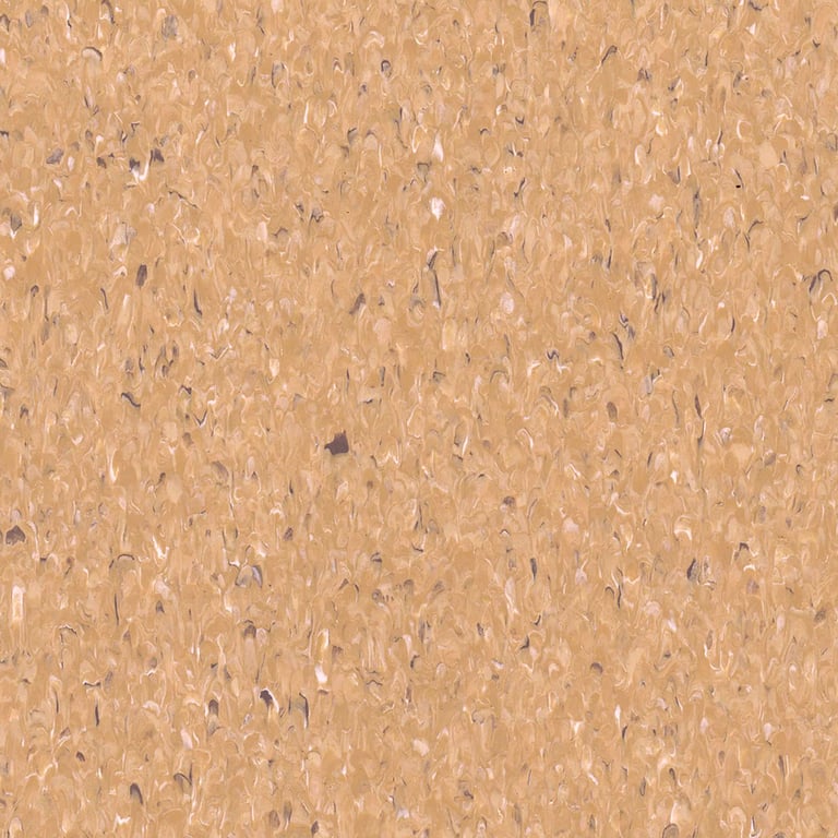 Vinyl FloorSheet ArmstrongFlooring AccoladePlus CapricornBeige 5A503731