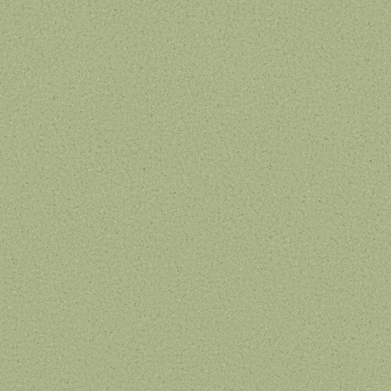 Vinyl FloorSheet ArmstrongFlooring AccoladePlus Casuarina 5A504171