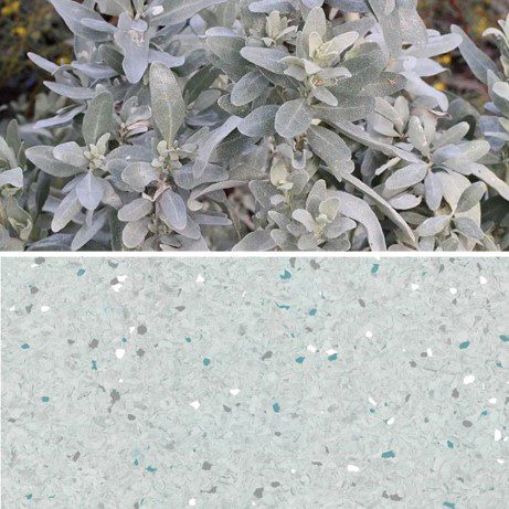 Natralis Salt Bush Image of Vinyl FloorSheet ArmstrongFlooring Natralis Saltbush 5R502241