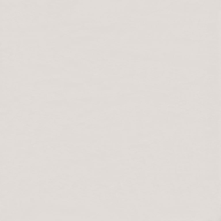 Vinyl WallSheet ArmstrongFlooring Wallflex Stone 6W608379