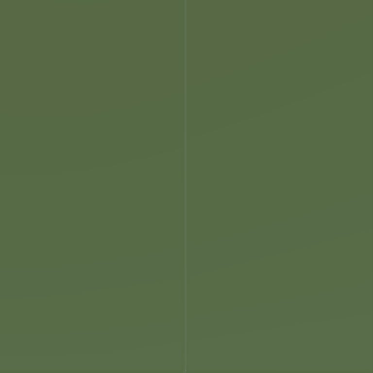 Navigate to Cladding Panel Cemintel Surround Vertical 3000x1200 Greenback Material