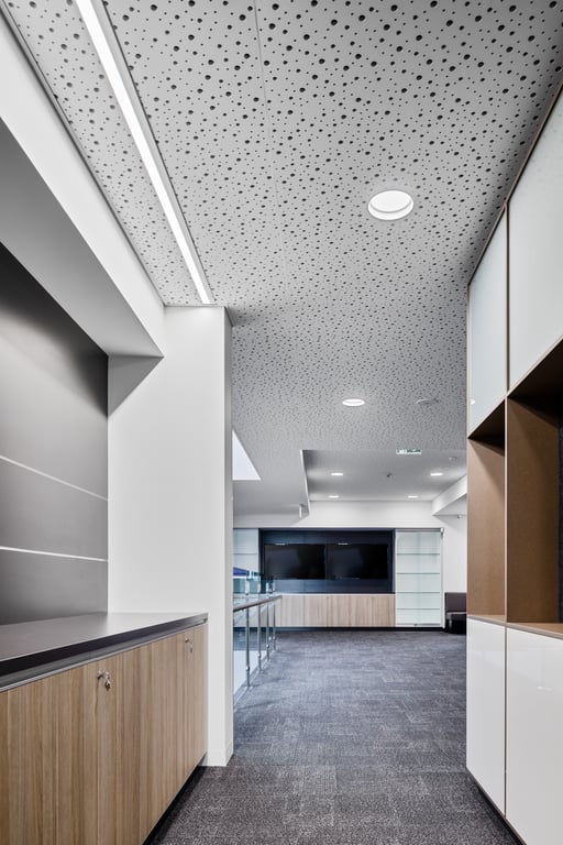 Darkon - Catholic College Sale - 16 Image of Lighting WallRecessed Darkon WYN IT REC Downlight