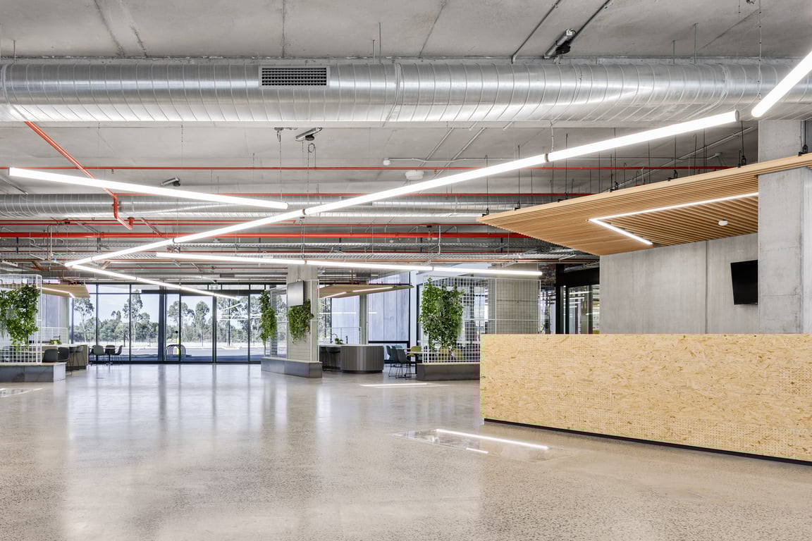 TUBE-SUS-PICAC Image of Lighting CeilingSuspended Darkon Grazer TUBE SUS