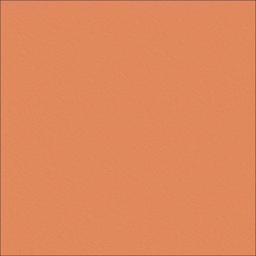 Concrete Resurfacing DuluxAvista ColourOxide LightTerracotta