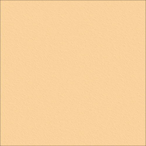 Image of Concrete Resurfacing DuluxAvista ColourOxide SandyBeige