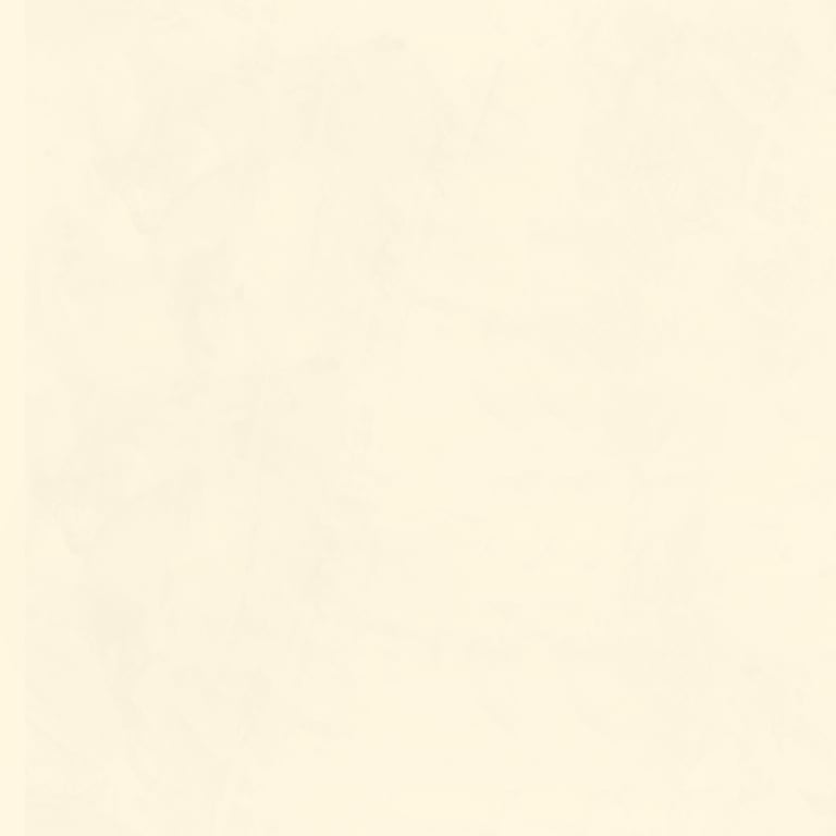Navigate to Plaster Dulux VenetianPlaster MarmorinoFine BabyBear1