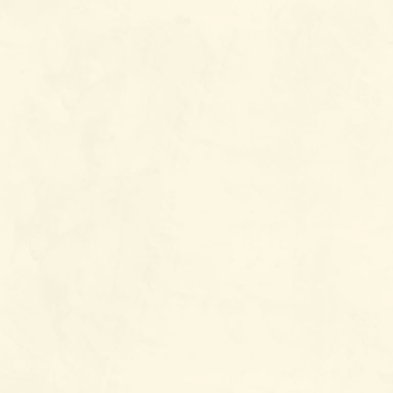 Navigate to Plaster Dulux VenetianPlaster MarmorinoFine ElephantSafari1