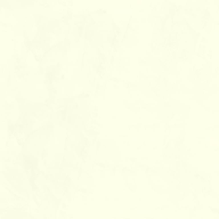 Navigate to Plaster Dulux VenetianPlaster MarmorinoFine ElkHorn1