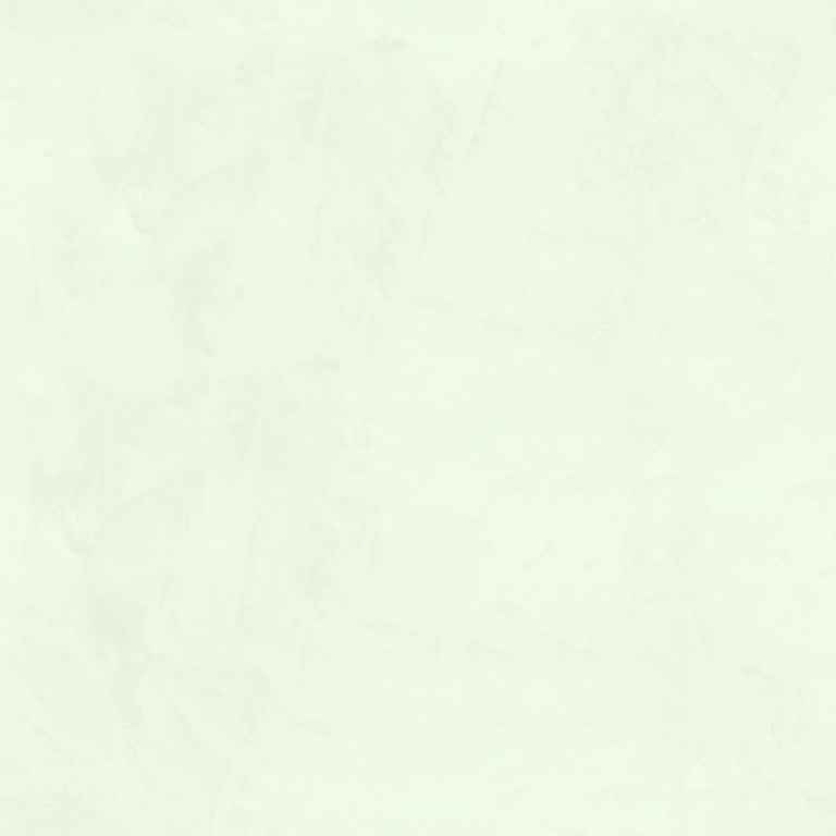 Image of Plaster Dulux VenetianPlaster MarmorinoFine ElkHorn2
