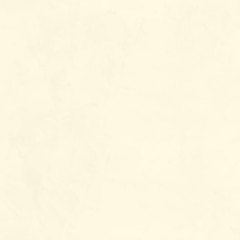 Image of Plaster Dulux VenetianPlaster MarmorinoFine GreyStone1
