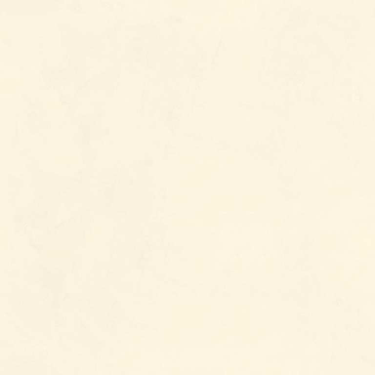 Navigate to Plaster Dulux VenetianPlaster MarmorinoFine PlatinumBlonde1