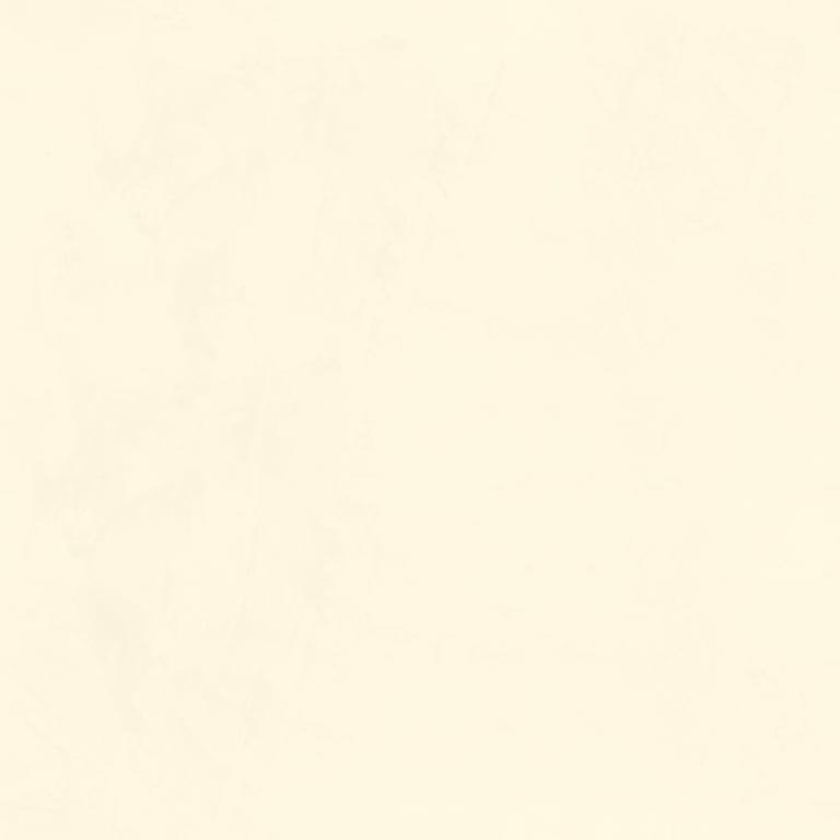 Image of Plaster Dulux VenetianPlaster MarmorinoFine SilverPearl1