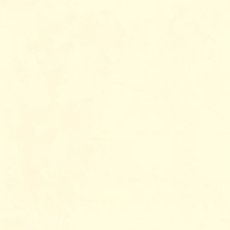 Navigate to Plaster Dulux VenetianPlaster MarmorinoFine TemptingWhite1