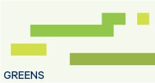 Navigate to Dulux New Zealand - Paint - Greens