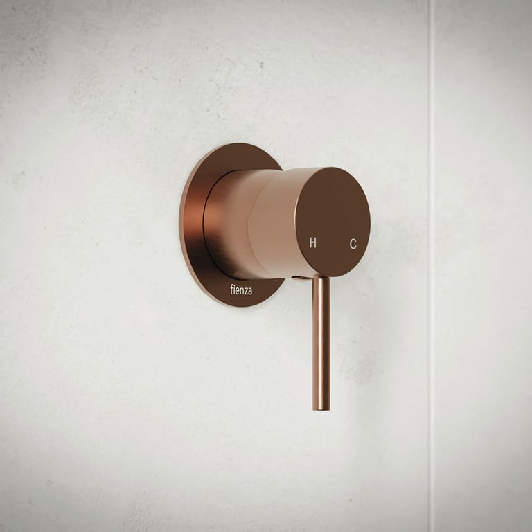 228101CO 2 Image of MixerTap Shower Fienza Kaya Small