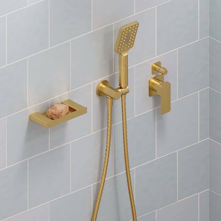 433206UB 2 Image of Shower Hand Fienza Tono RoundPlate