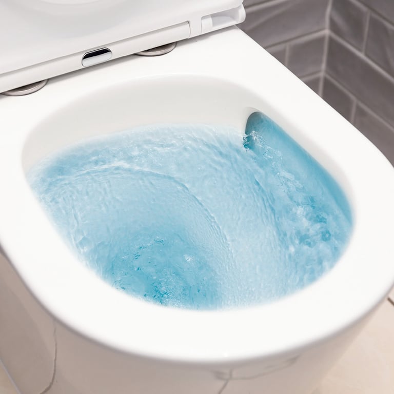 K002376MWU 3 Image of ToiletPan WallHung Fienza KokoTornado