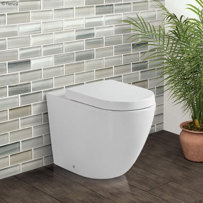 K002376_2.jpg Image of Toilet WallFaced Fienza Koko Rimless