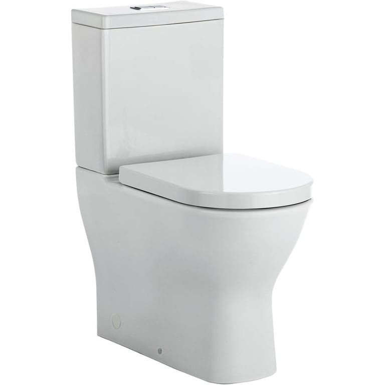 K005 Image of ToiletSuite WallFaced Fienza Delta Rimless