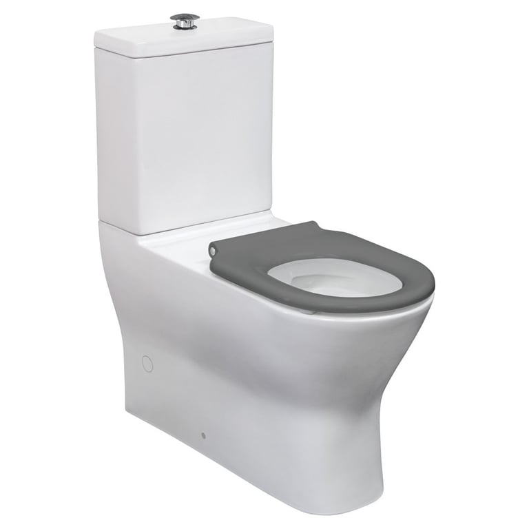 K013G_3.jpg Image of ToiletSuite WallFaced Fienza DeltaCare