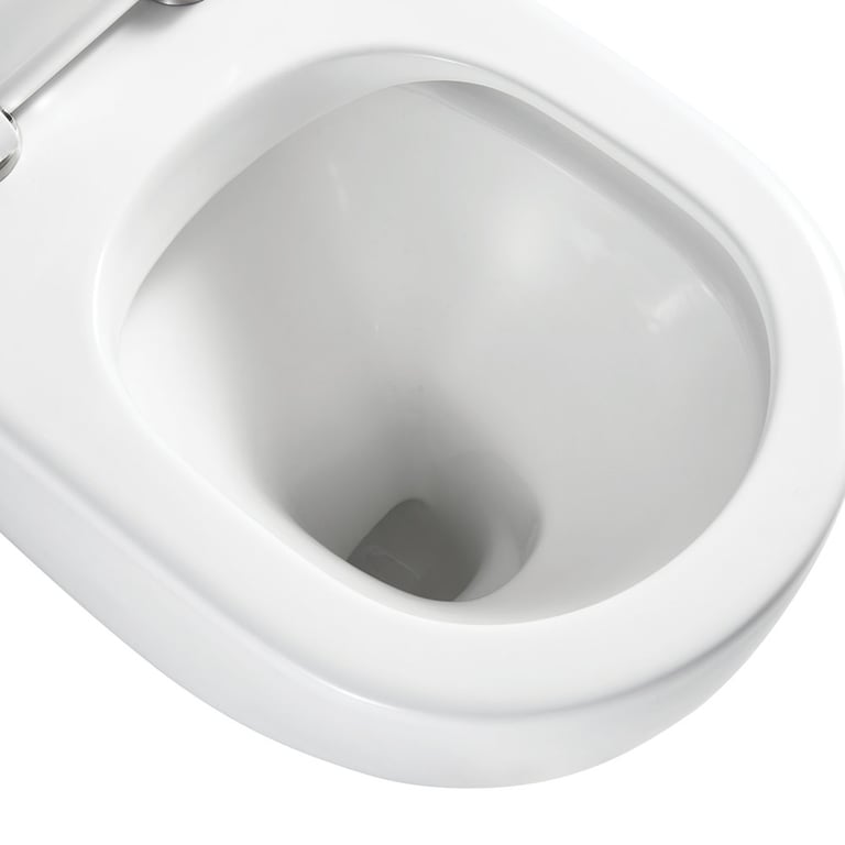 K025 4 Image of ToiletPan WallFaced Fienza Alix Ambulant