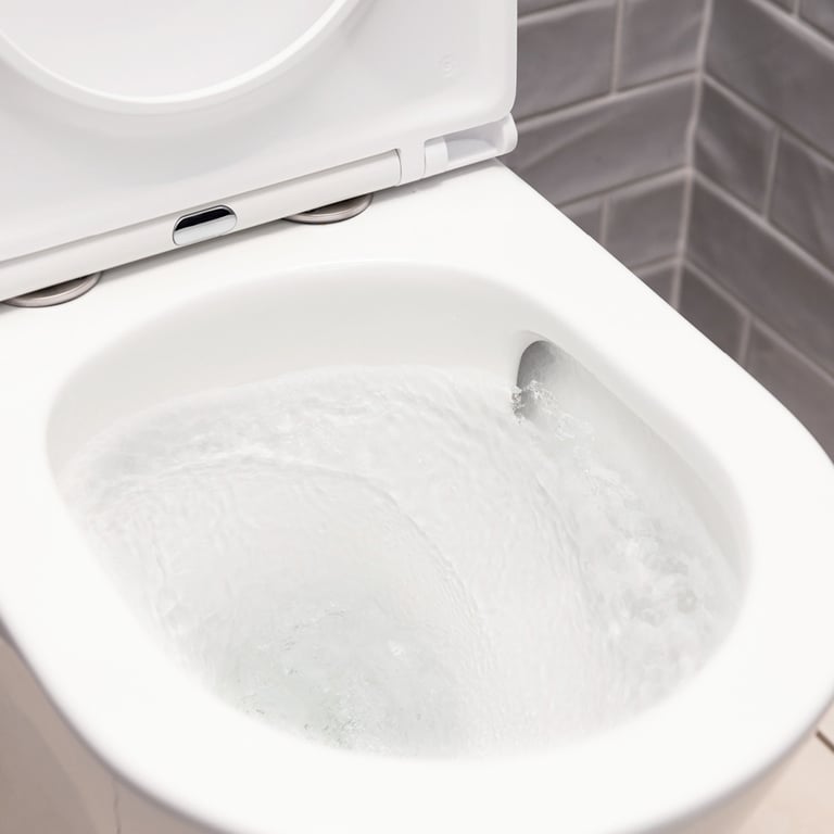K028 Water Image of ToiletSuite WallFaced Fienza Tono